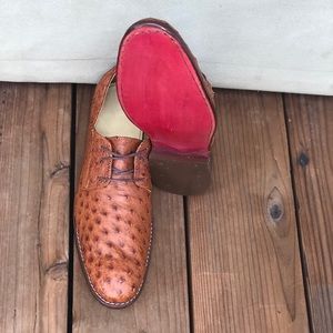 Authentic ostrich oxfords